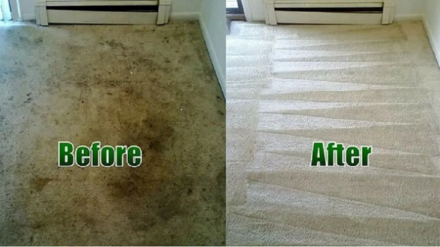 Reviews And Testimonials Carpet Cleaning for St Louis
