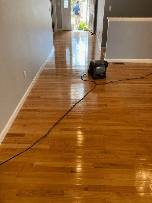 Hardwood Floor Cleaning Carpet Cleaning for St Louis