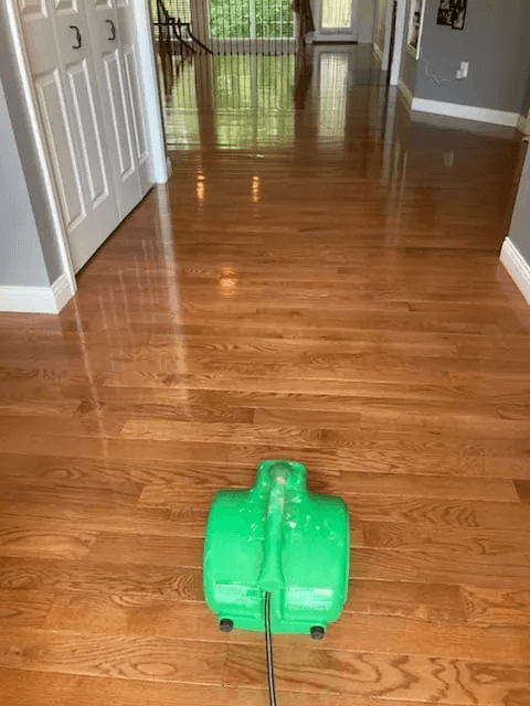 Hardwood Floor Cleaning Carpet Cleaning for St Louis